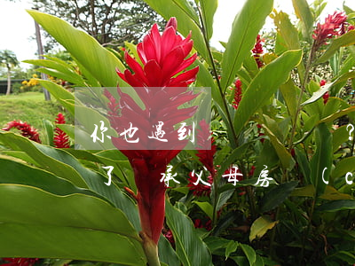 你也遇到過嗎？爺爺奶奶去世幾十年了，繼承父母房產(chǎn)還要開他們的死亡證明